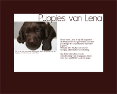 Puppies van Lena